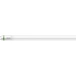 Philips MASTER LED Tube T8 (EM/Mains) Ultra Efficiency 17.6W 3700lm - 865 Luz De Día | 150cm - Reemplazo 58W