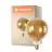 Ledvance Smart+ Wifi E27 G125 8W 600lm - 822-850 Ajustable Blanco | Regulable - Reemplazo 60W