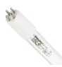 Philips T5 UV - C HO 145W - Ultravioleta | 155cm - 4 - Pin - UNP
