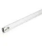 Philips T8 UV - C 36W - Ultravioleta | 120cm
