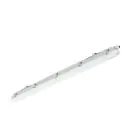 Philips Pantalla LED Estanca Ledinaire WT065C 23/42W 2900/4800lm - 840 Blanco Frio | 120cm