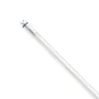 Philips Master Tubo LED T8 (EM/Mains) High Output T8 7.6W 1150lm - 865 Luz De Día | 60cm - Reemplazo 18W